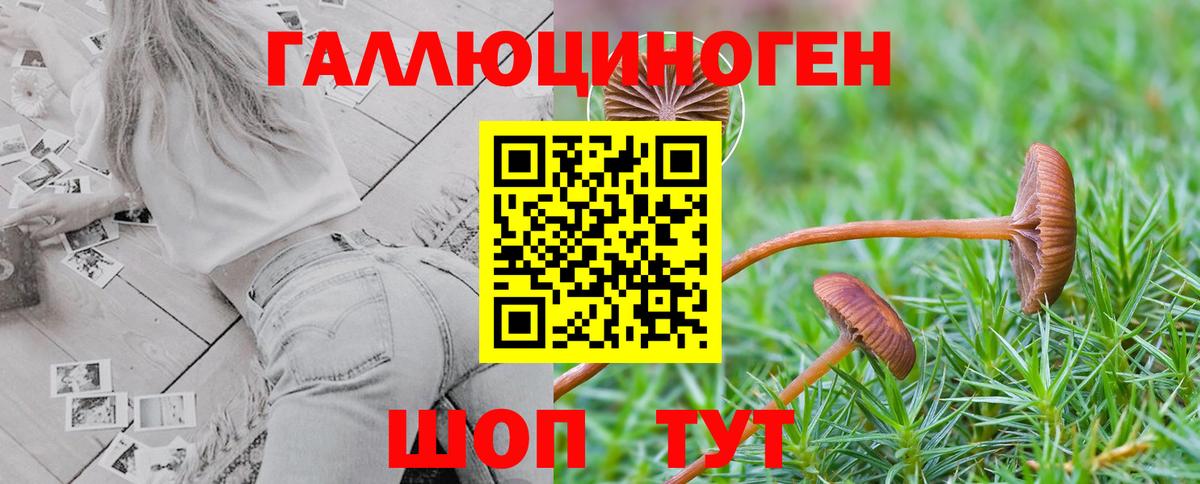 Галлюциногенные грибы Psilocybine cubensis  Вход с VPN  Люберцы 